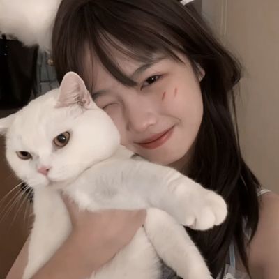 丰禾棋牌手机app下载